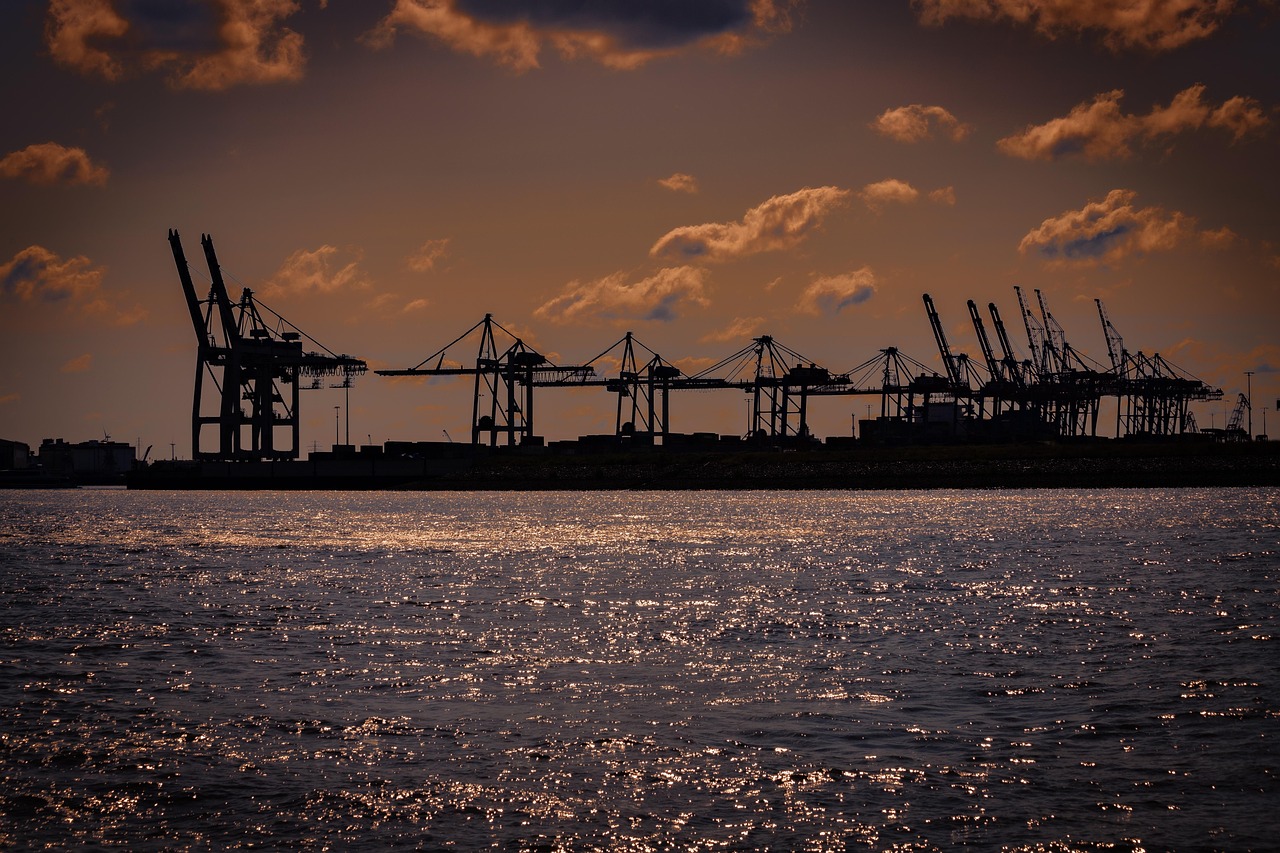 port, port cranes, sea, ocean, nature, freight transport, loading port, container port, loading cranes, hamburg